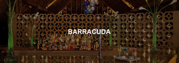 Hotel Sunscape Ixtapa Bar BARRACUDA, Adyacente al restaurante Bluewater Grill